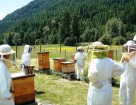 Школа пчеловода