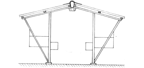 Схема размещения клеток и домиков для норок в сарае