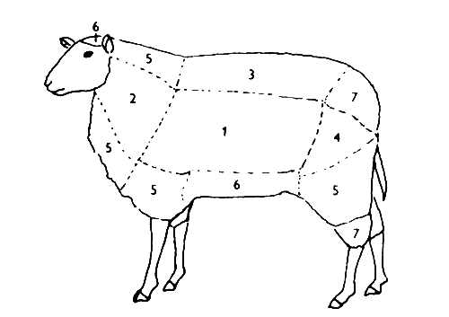 Качество шерсти на разных частях тела овцы