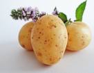 Диетические свойства и витамины картофеля