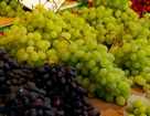 Виноград - гроздья здоровья